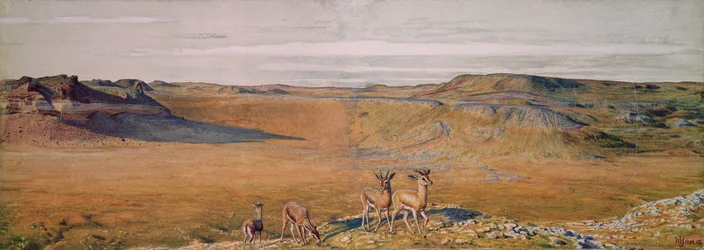 The Wilderness of Gizeh
